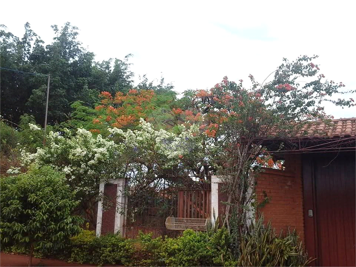 Foto REO1128331