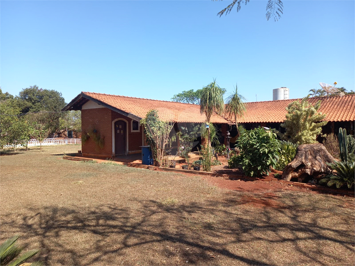Foto REO1128331