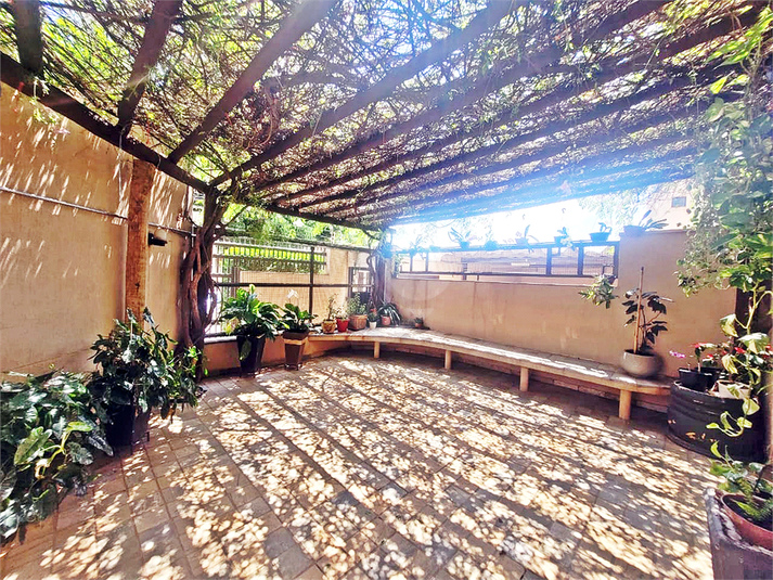 Foto REO1128368
