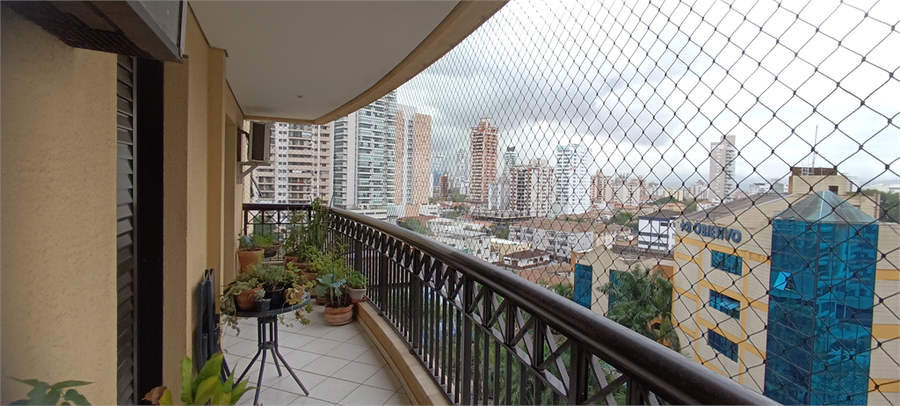 Foto REO1128377