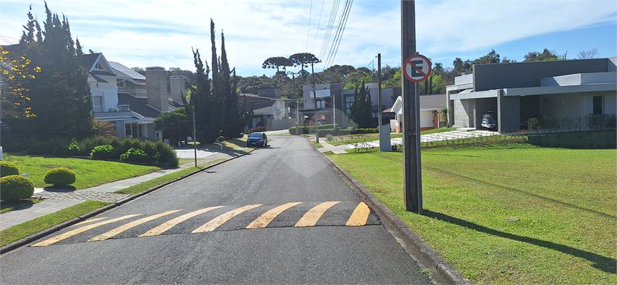Foto REO1128390
