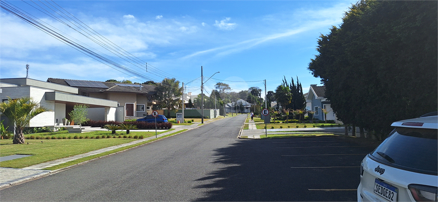 Foto REO1128390