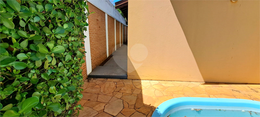 Foto REO1128407