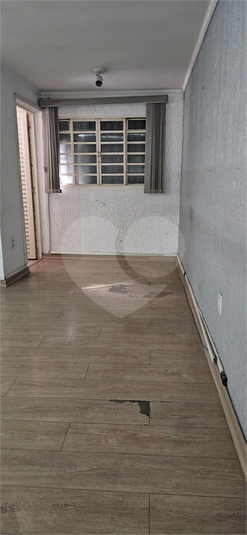 Foto REO1128418