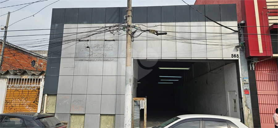 Foto REO1128418