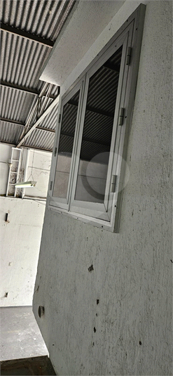 Foto REO1128418