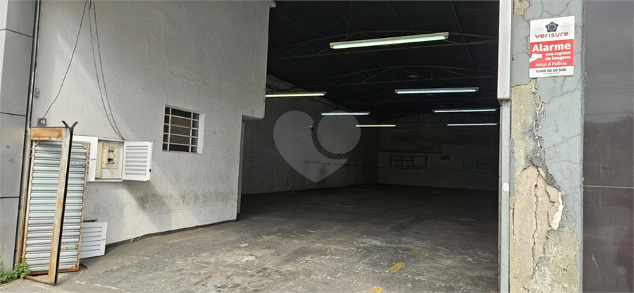Foto REO1128418