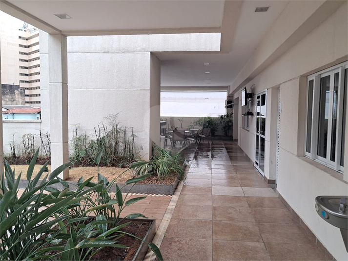 Foto REO1128424