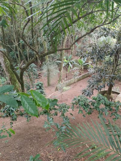 Foto REO1128455