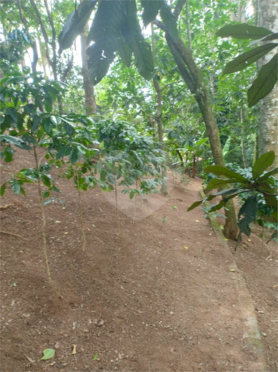 Foto REO1128455