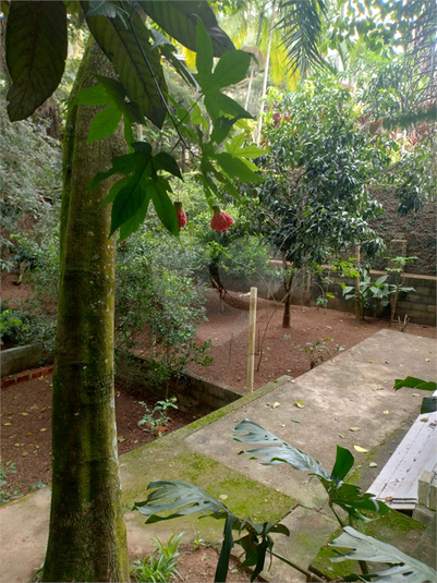 Foto REO1128455