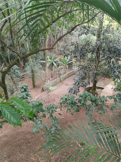 Foto REO1128455