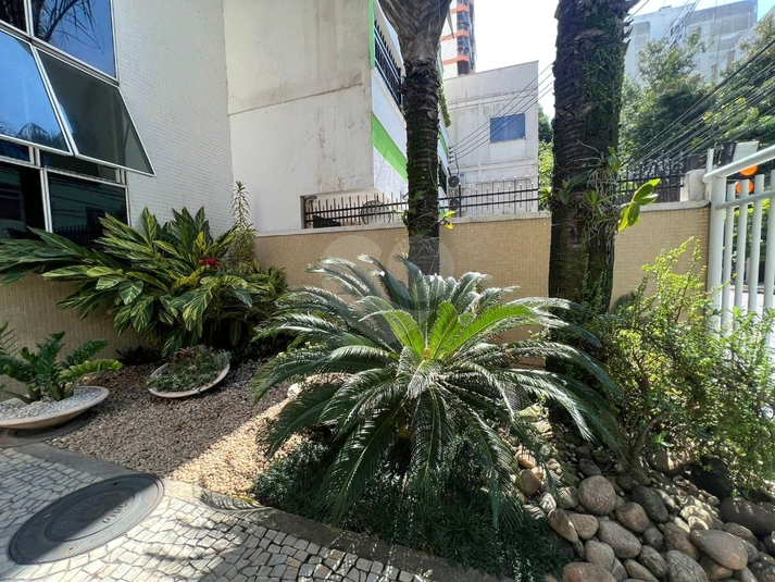 Foto REO1128456