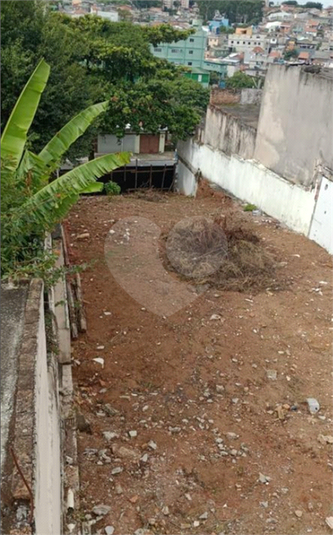 Terreno 