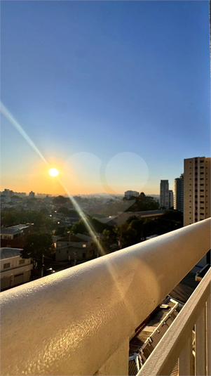 Foto REO1128490