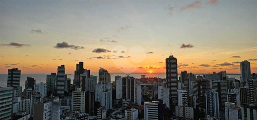 Foto REO1128494
