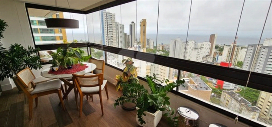 Foto REO1128494