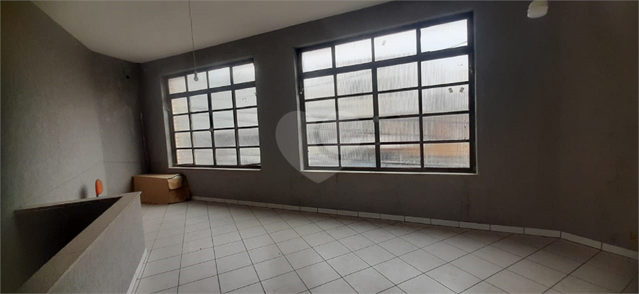 Foto REO1128495