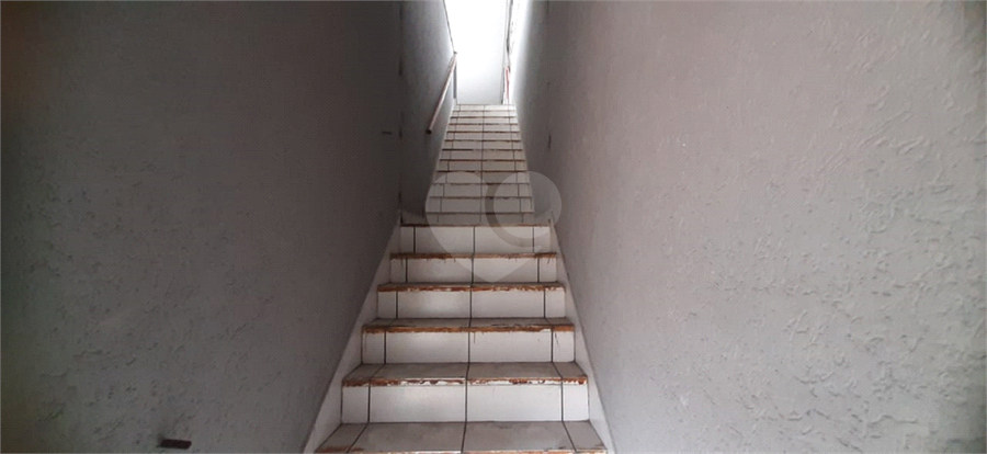 Foto REO1128495