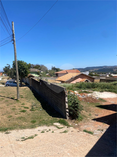 Foto REO1128501