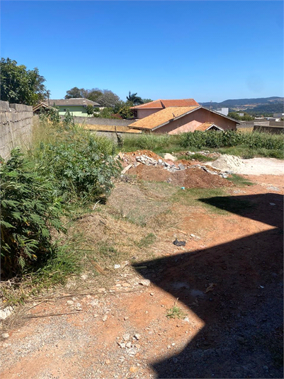 Foto REO1128501