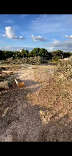 Foto REO1128529