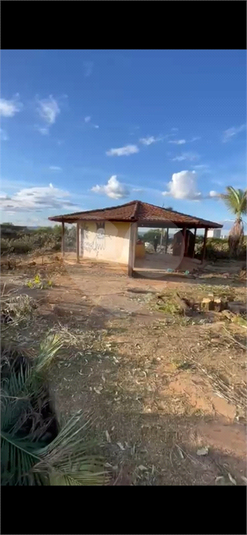 Foto REO1128529