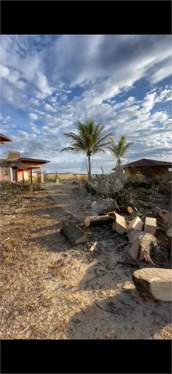 Foto REO1128529
