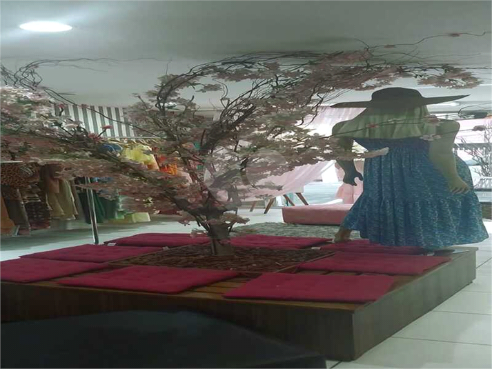 Foto REO1128537