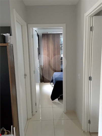 Foto REO1128547
