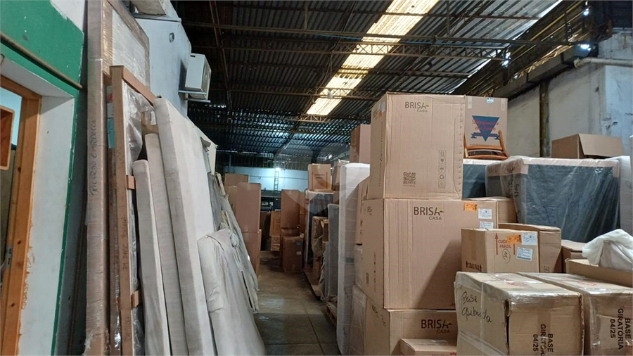 Foto REO1128561