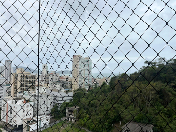 Foto REO1128587