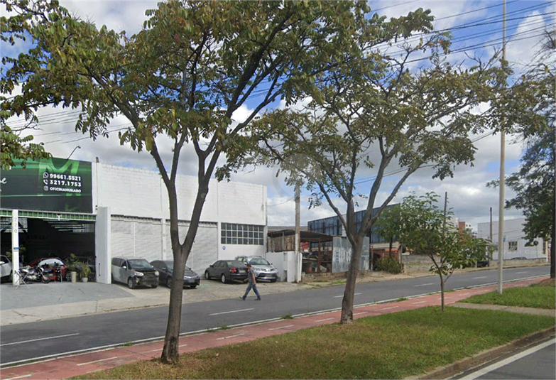 Foto REO1128589
