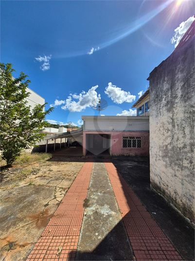 Foto REO1128597
