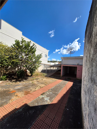 Foto REO1128597