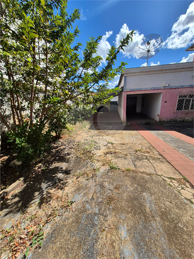 Foto REO1128597