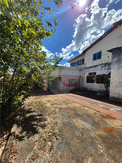 Foto REO1128597