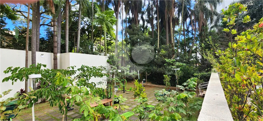 Foto REO1128610