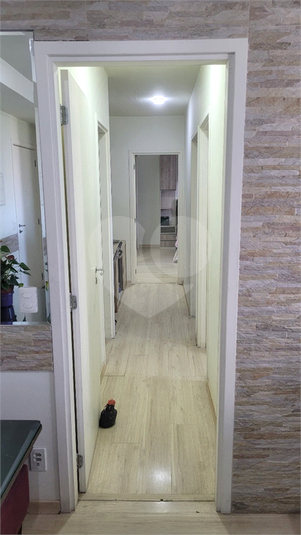 Foto REO1128610