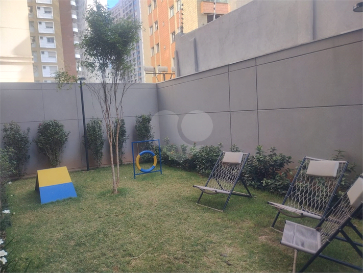 Foto REO1128622