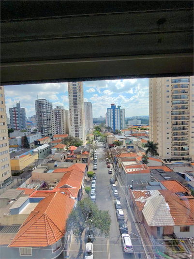 Foto REO1128639