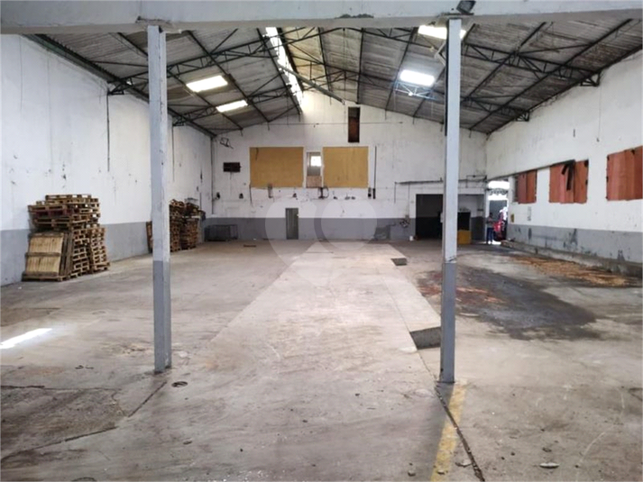 Foto REO1128654