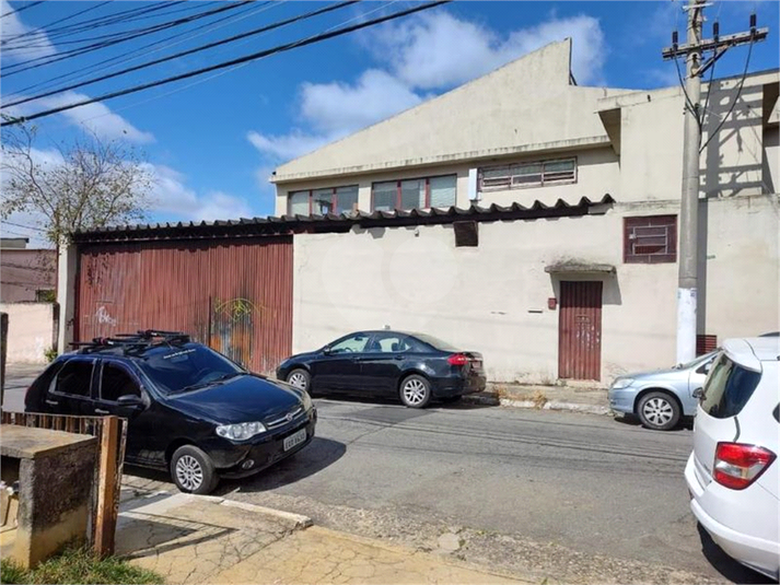 Foto REO1128654