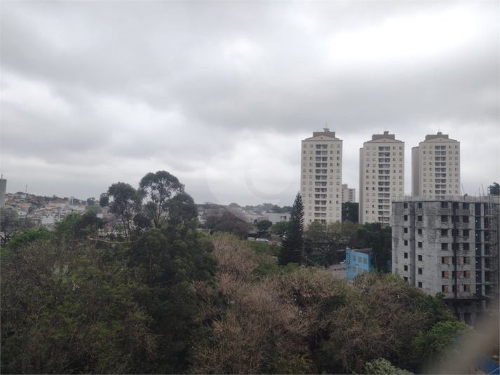 Foto REO1128657