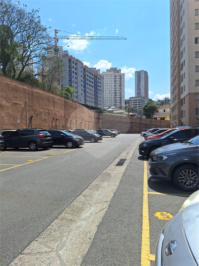 Foto REO1128657