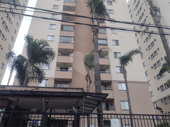 Foto REO1128657