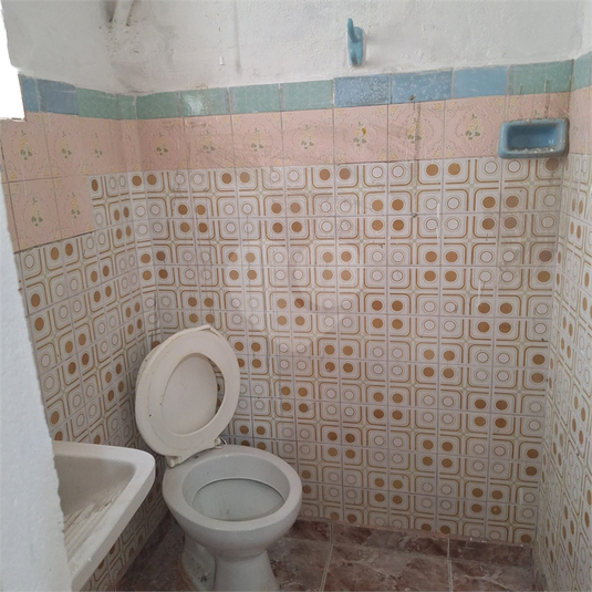 Foto REO1128661