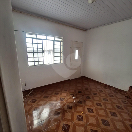 Foto REO1128661