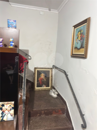Foto REO1128676