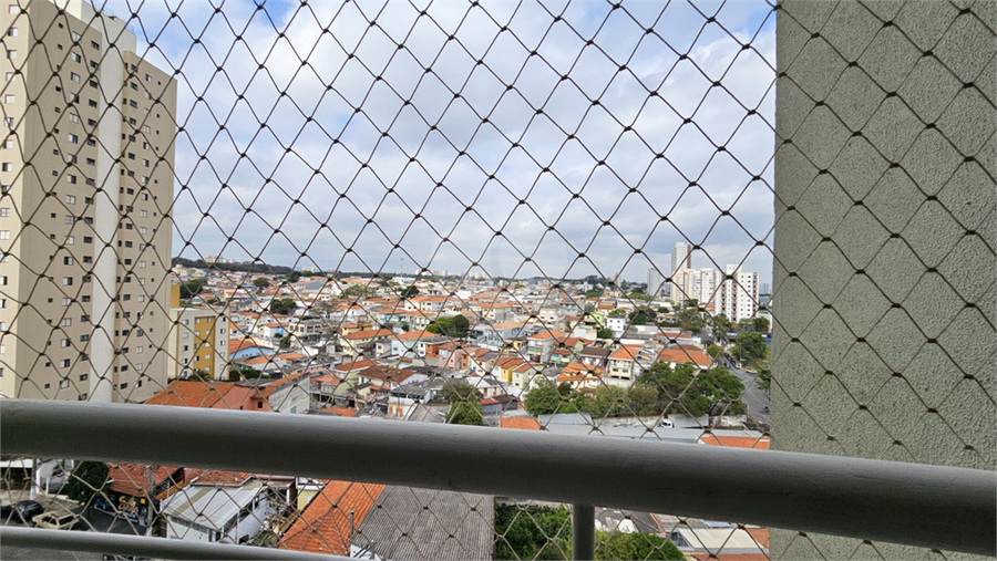 Foto REO1128680